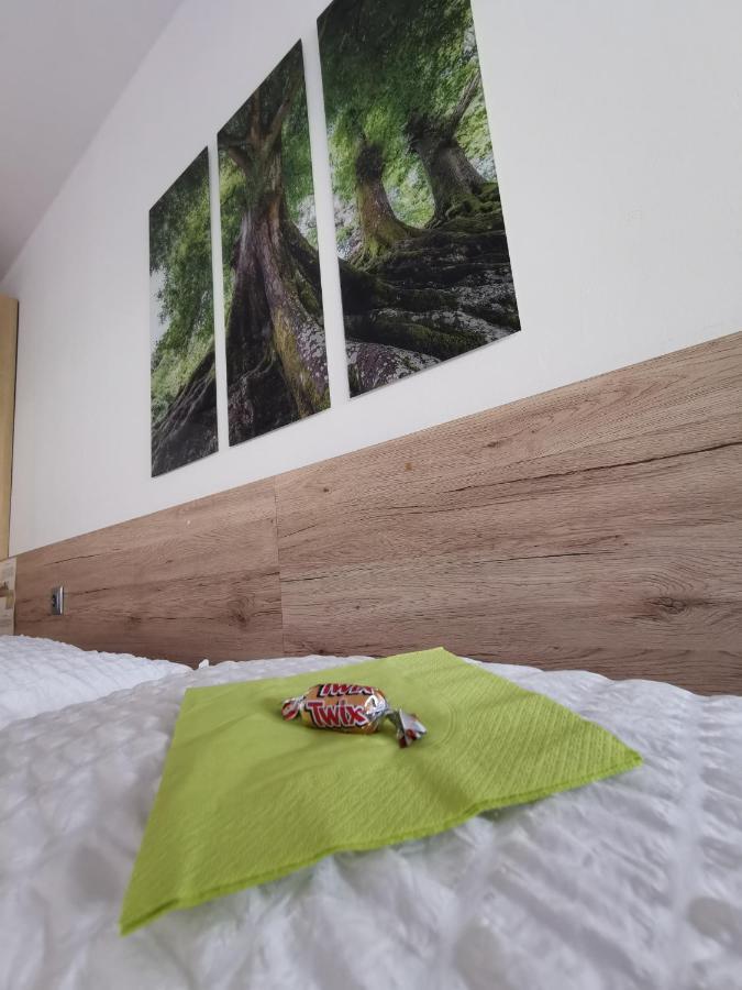 Appartement Mit Doppelbett Oder 2 Einzelbetten Bad Aussee Exterior photo